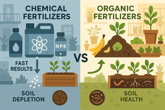 Difference Between Chemical and Organic Fertilizers – Why Urban Gardens Prefer Organic