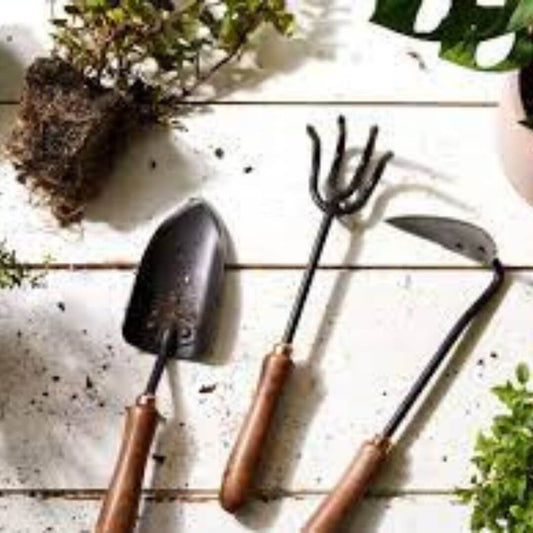 Tools & Techniques for Healthy Plants
