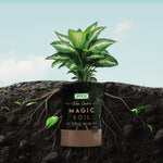 Magic Soil -All Purpose Potting Mix