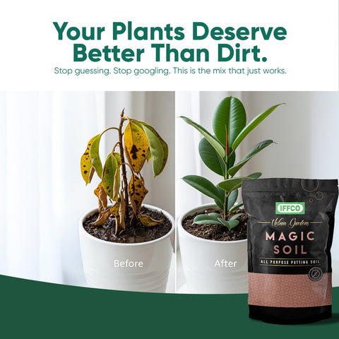 Magic Soil -All Purpose Potting Mix