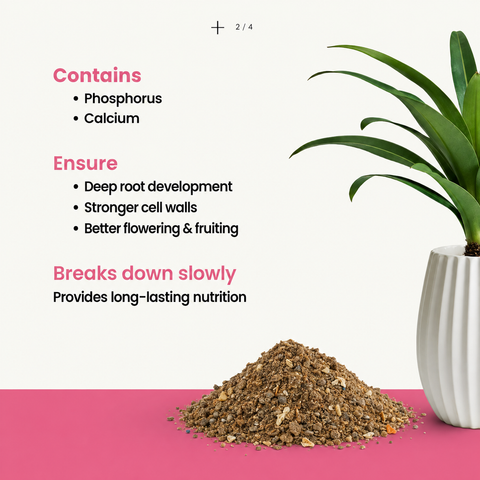 Bone Meal - Organic Phosphorus + Calcium Fertilizer, Slow Release Powder