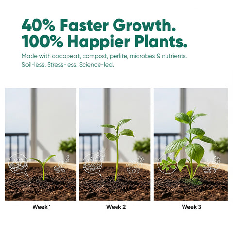 Magic Soil -All Purpose Potting Mix
