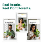 Magic Soil -All Purpose Potting Mix