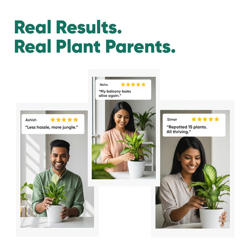 Magic Soil -All Purpose Potting Mix