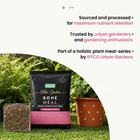 Bone Meal - Organic Phosphorus + Calcium Fertilizer, Slow Release Powder