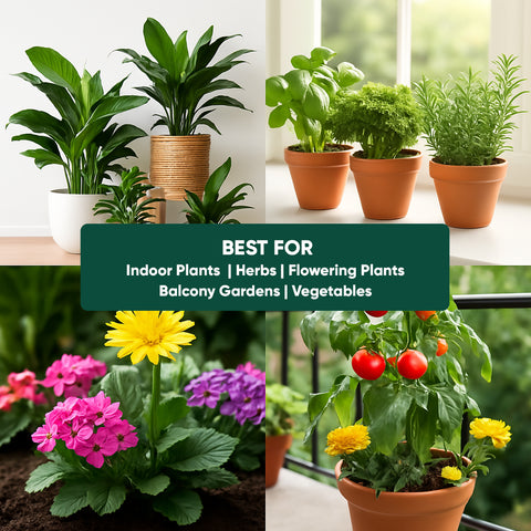 Magic Soil -All Purpose Potting Mix