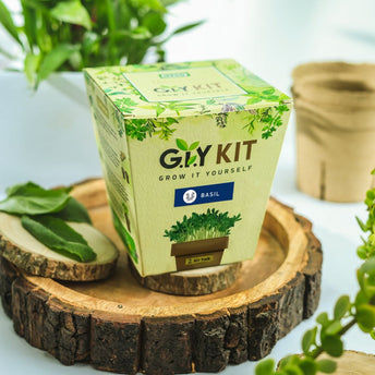 Grow It Yourself (GIY) Kit - BASIL (2 Pot Pack)