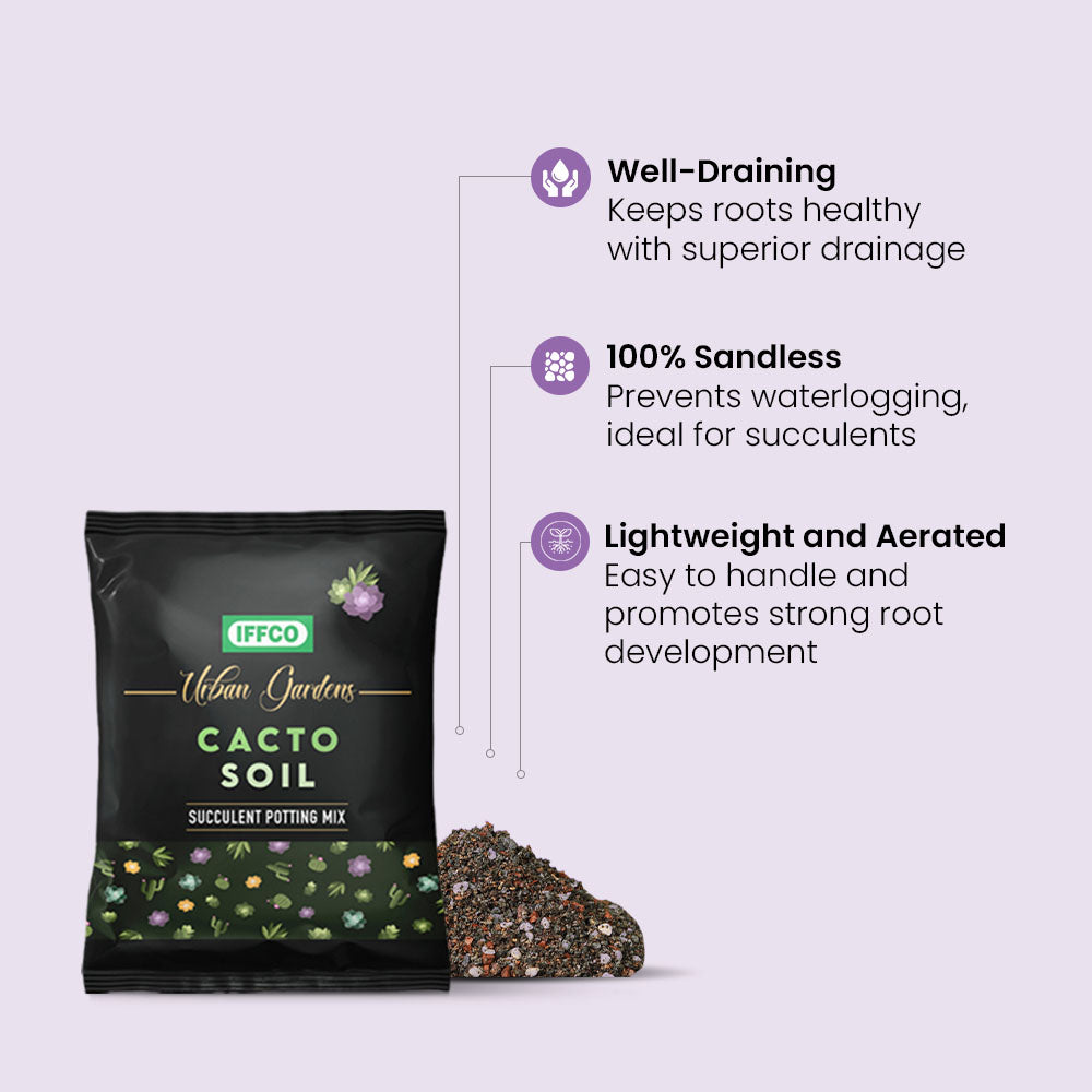 Cacto Soil - Succulent Potting Mix