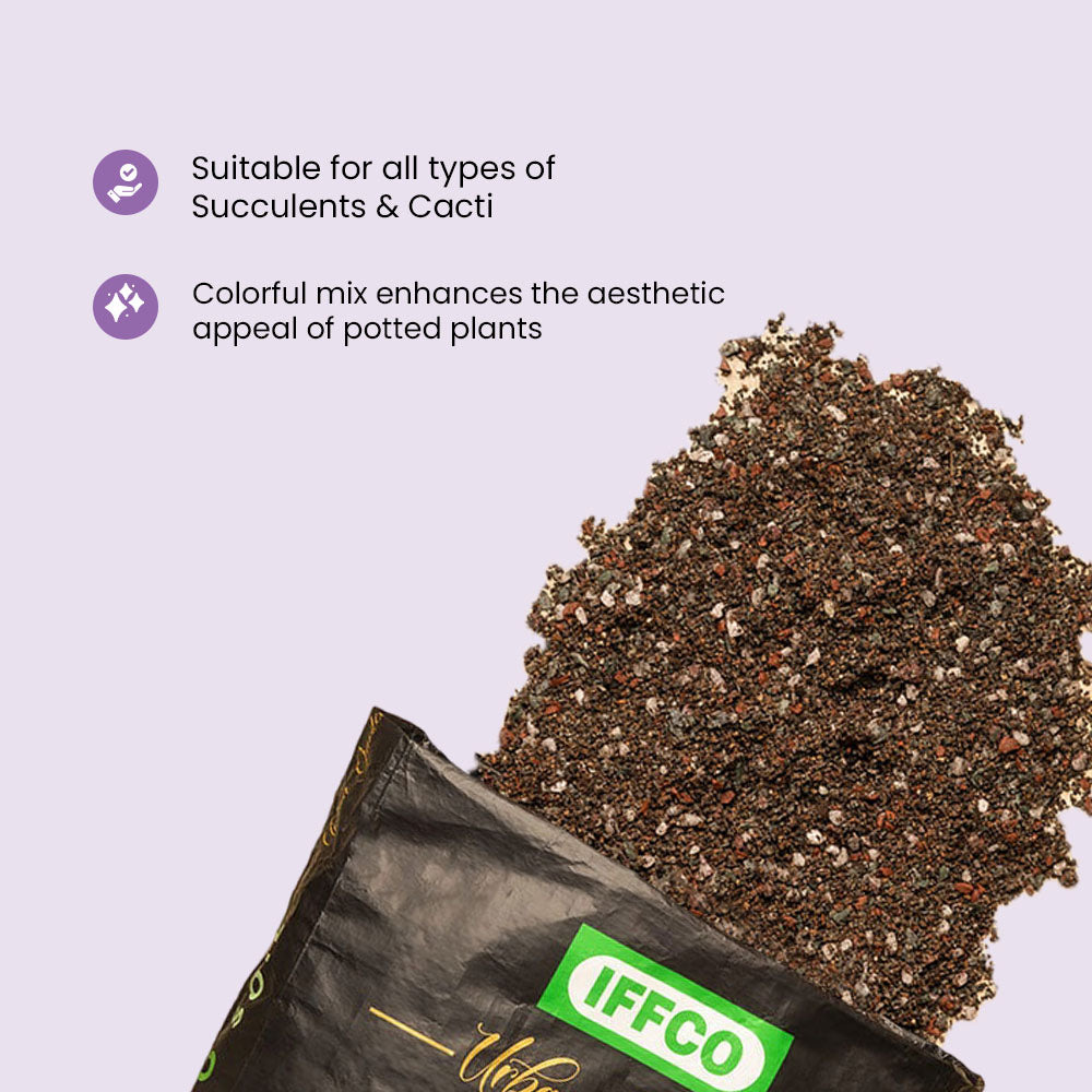 Cacto Soil - Succulent Potting Mix