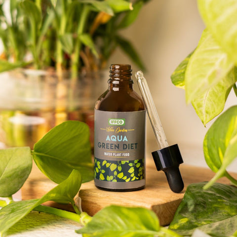 water plant fertilizer Aqua Green Diet