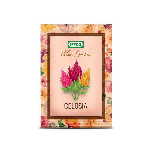 GIY - Celosia Seeds