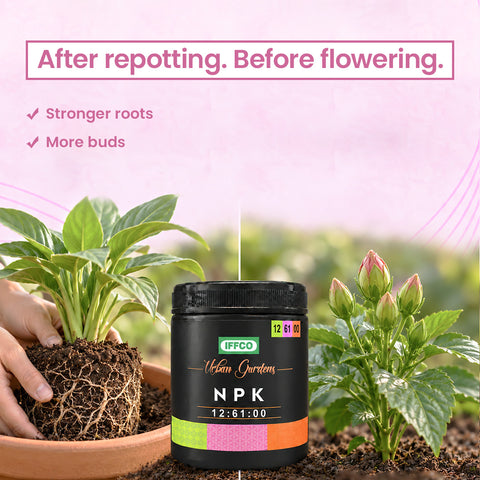 NPK 12:61:00