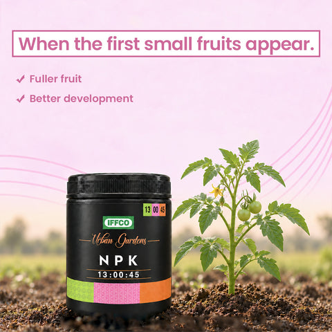 NPK 13:00:45