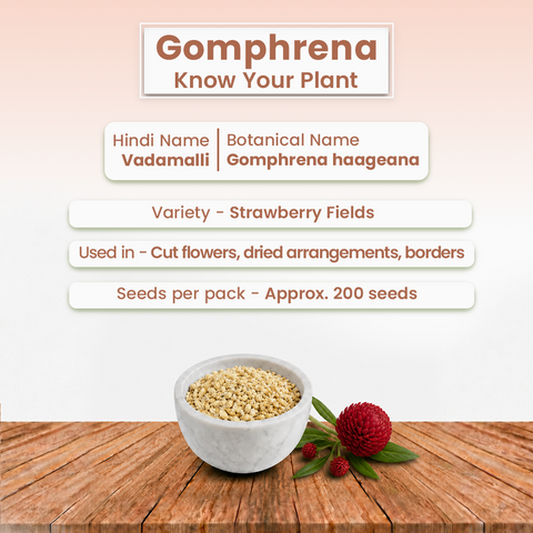 GIY - Gomphrena Seeds