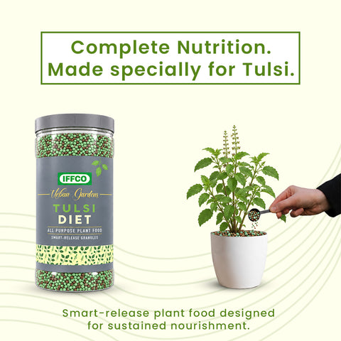 Tulsi Diet - Specialised Food For Tulsi