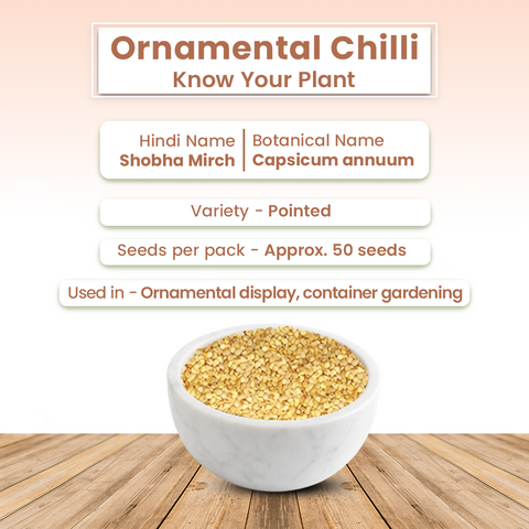 GIY - Ornamental Chilli Seeds