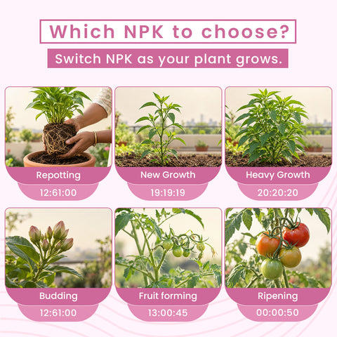 NPK 13:00:45