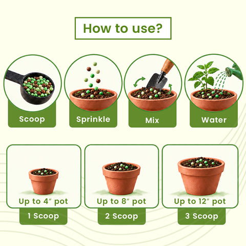 Tulsi Diet - Specialised Food For Tulsi
