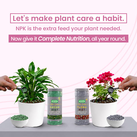 NPK 00:00:50
