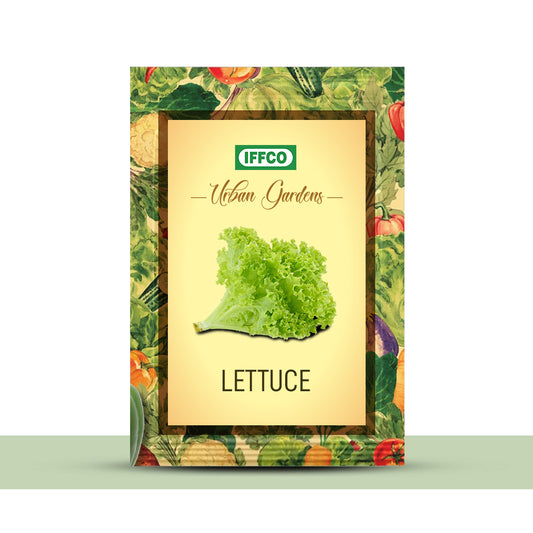 GIY - Lettuce(Salad Patta) Seeds