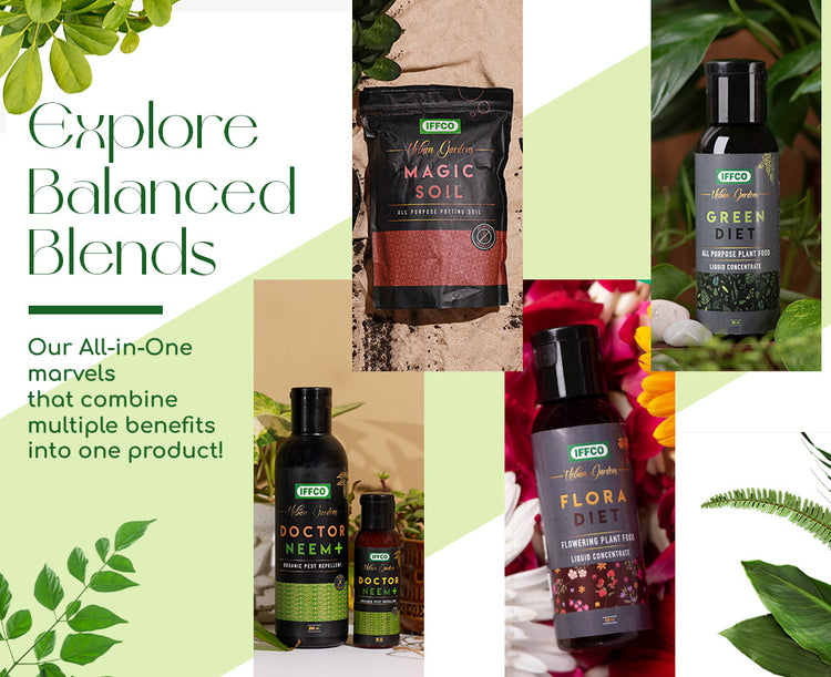 Banner 2.jpg__PID:be261089-13e0-4be4-83b3-701a820dadf2