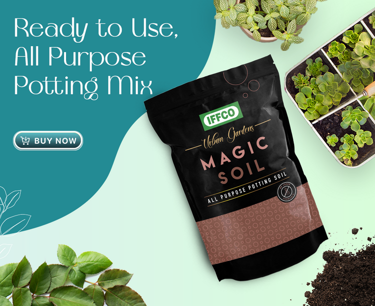 Banner 3.png__PID:108913e0-dbe4-43b3-b01a-820dadf25d10