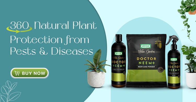 Banner 3.jpg__PID:53b6eda9-ab3e-4536-be26-108913e0dbe4