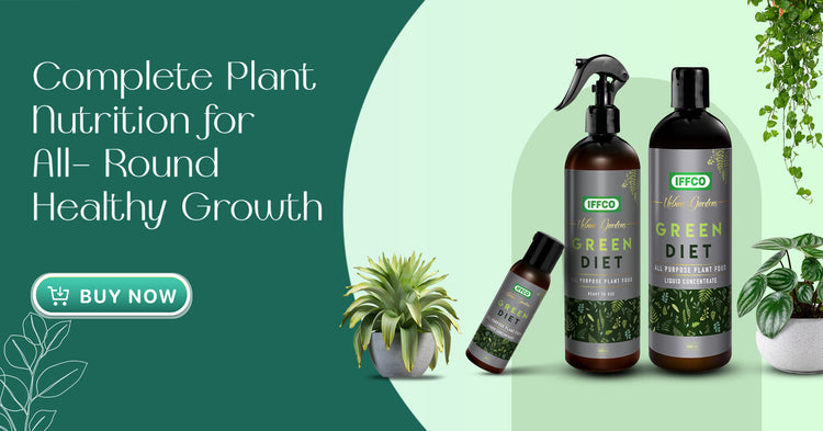 Banner 4.jpg__PID:1a54128c-3cf0-4c14-93b6-eda9ab3eb536