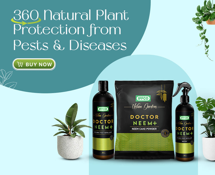 Banner 4 (1).jpg__PID:13e0dbe4-83b3-401a-820d-adf25d1092d6