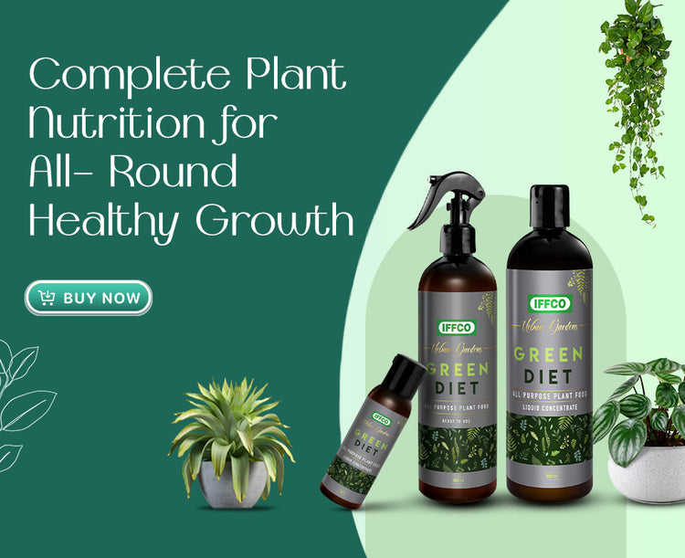 Banner 5.jpg__PID:dbe483b3-701a-420d-adf2-5d1092d63831