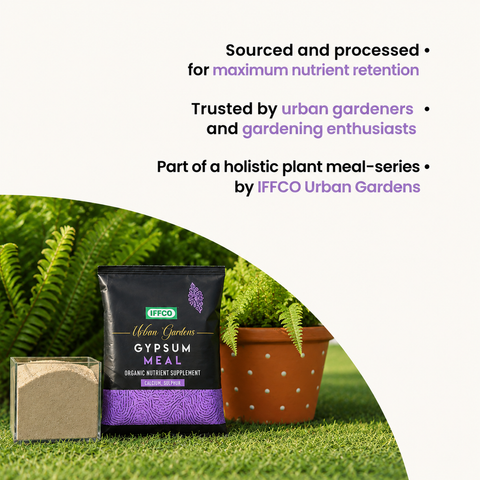 Gypsum Meal - Organic Calcium Sulphate Fertilizer & Soil Conditioner, Slow Release Powder.