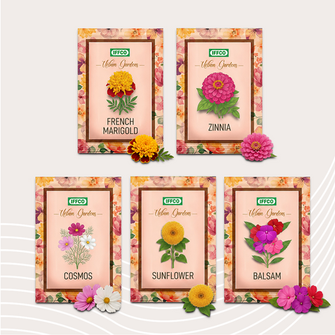 Beginner's Bloom Kit