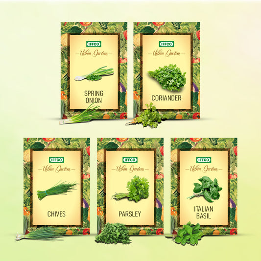 Culinary Herbs Seeds Combo (Pack of 5)- Italian Basil, Coriander, Parsley, Chives & Green Onion