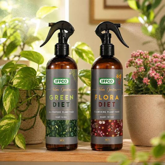 Green Diet + Flora Diet Combo, Ready To Use