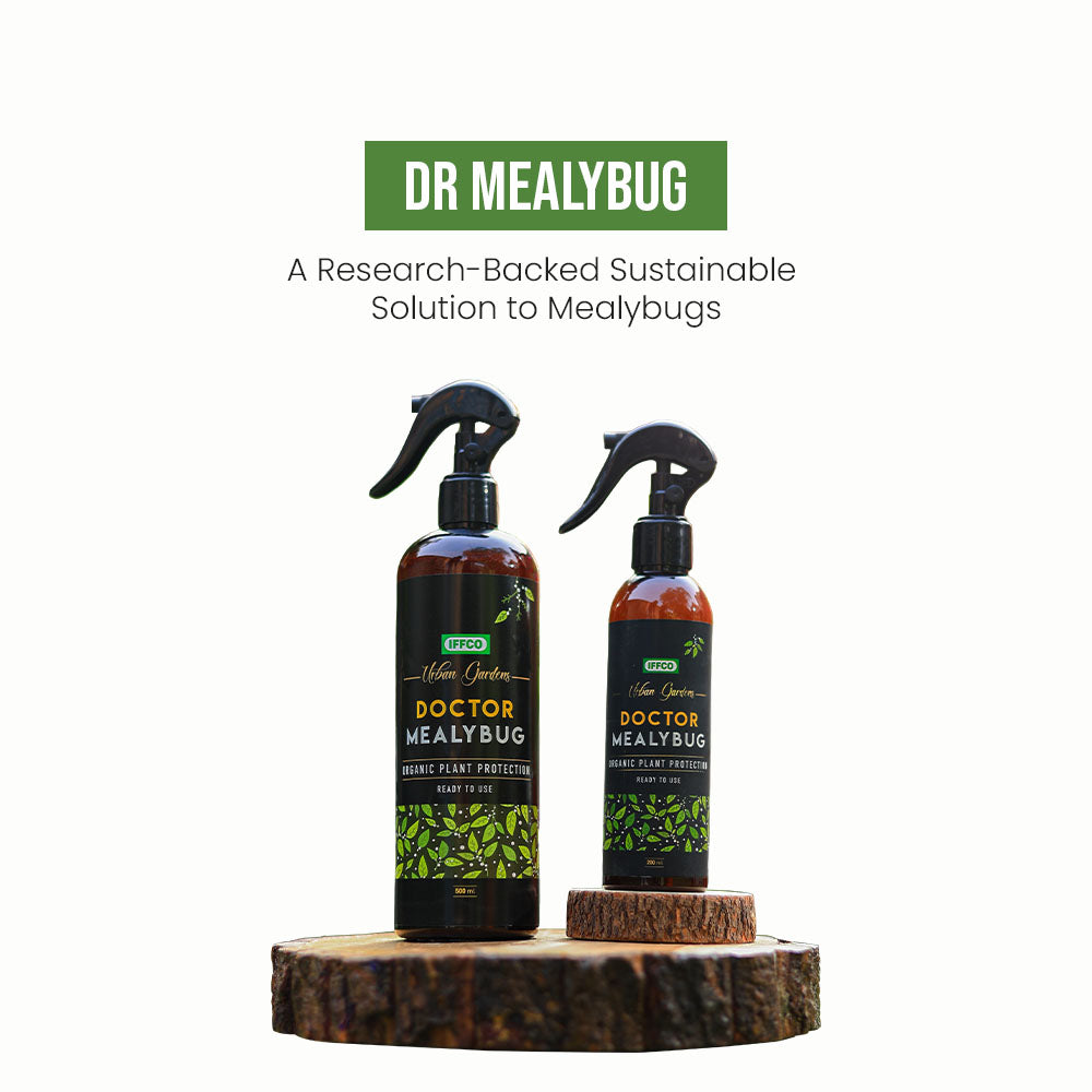 Doctor Mealybug - Organic Protection, Ready-to-use