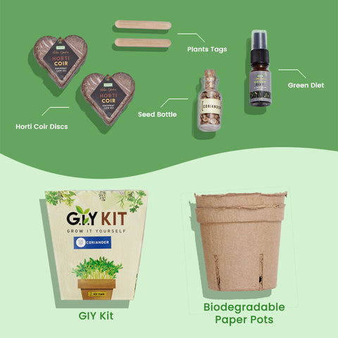 Grow It Yourself (GIY) Kit - BASIL (2 Pot Pack)