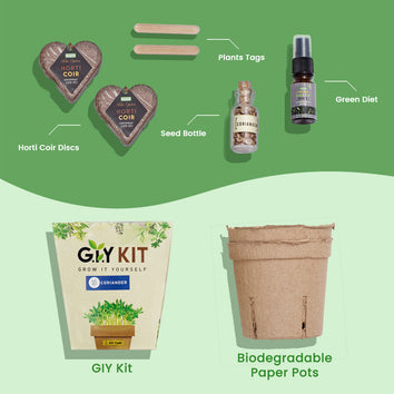 Grow It Yourself (GIY) Kit - CORIANDER (2 Pot Pack)