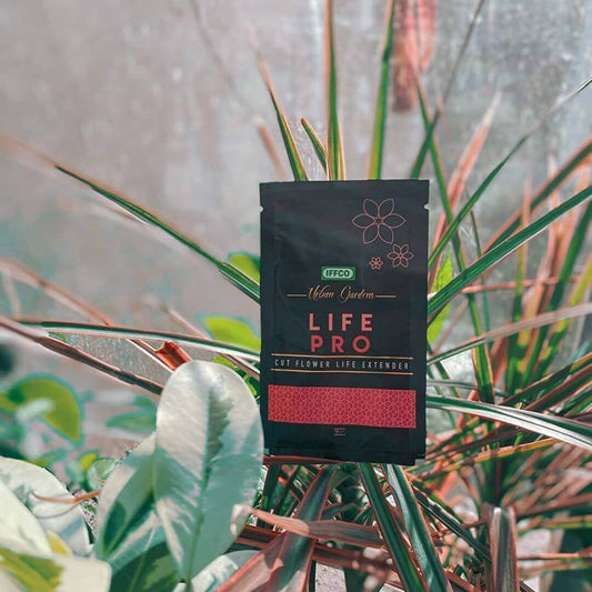 Life Pro – Cut Flower Food and Life Extender