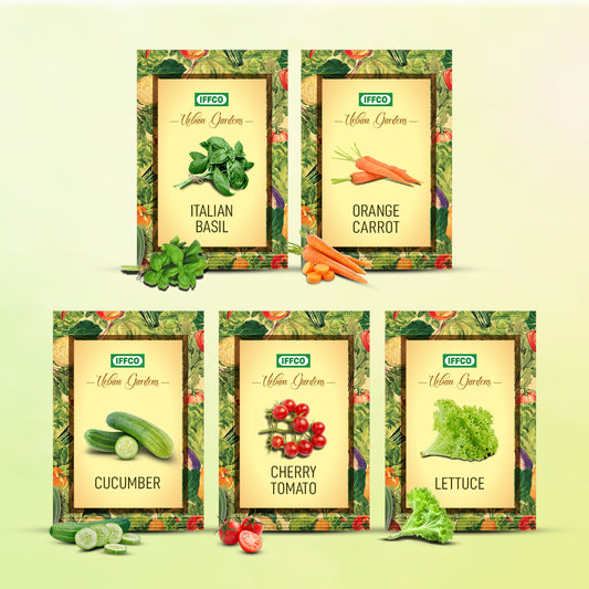 Gourmet Salad Seeds Combo (Pack of 5) - Lettuce, Cherry Tomato, Cucumber, Carrot Orange & Basil