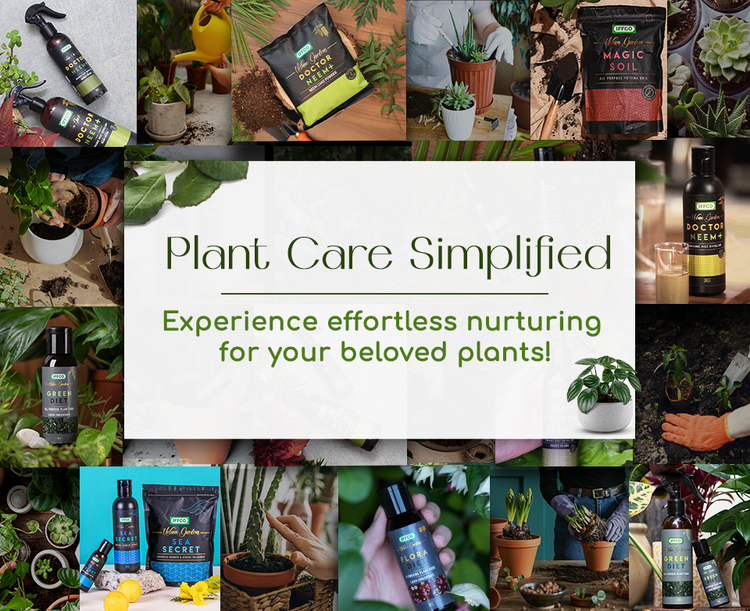 Homepage banner (1).png__PID:eda9ab3e-b536-4e26-9089-13e0dbe483b3