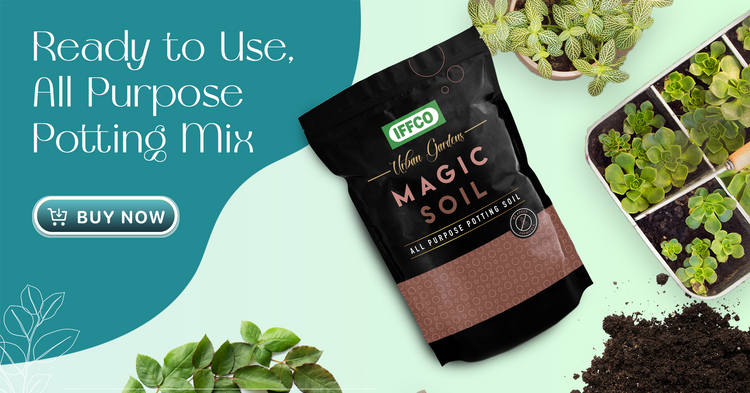 Magic Soil Banner.png__PID:c4651a54-128c-4cf0-8c14-53b6eda9ab3e