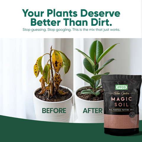 Magic Soil -All Purpose Potting Mix