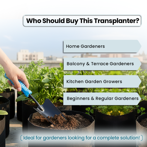 Transplanter