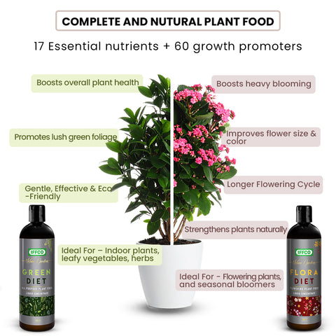 Magic Soil + Nutrition & Protection with 2L Sprayer Combo