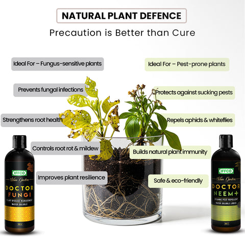 Magic Soil + Nutrition & Protection with 2L Sprayer Combo