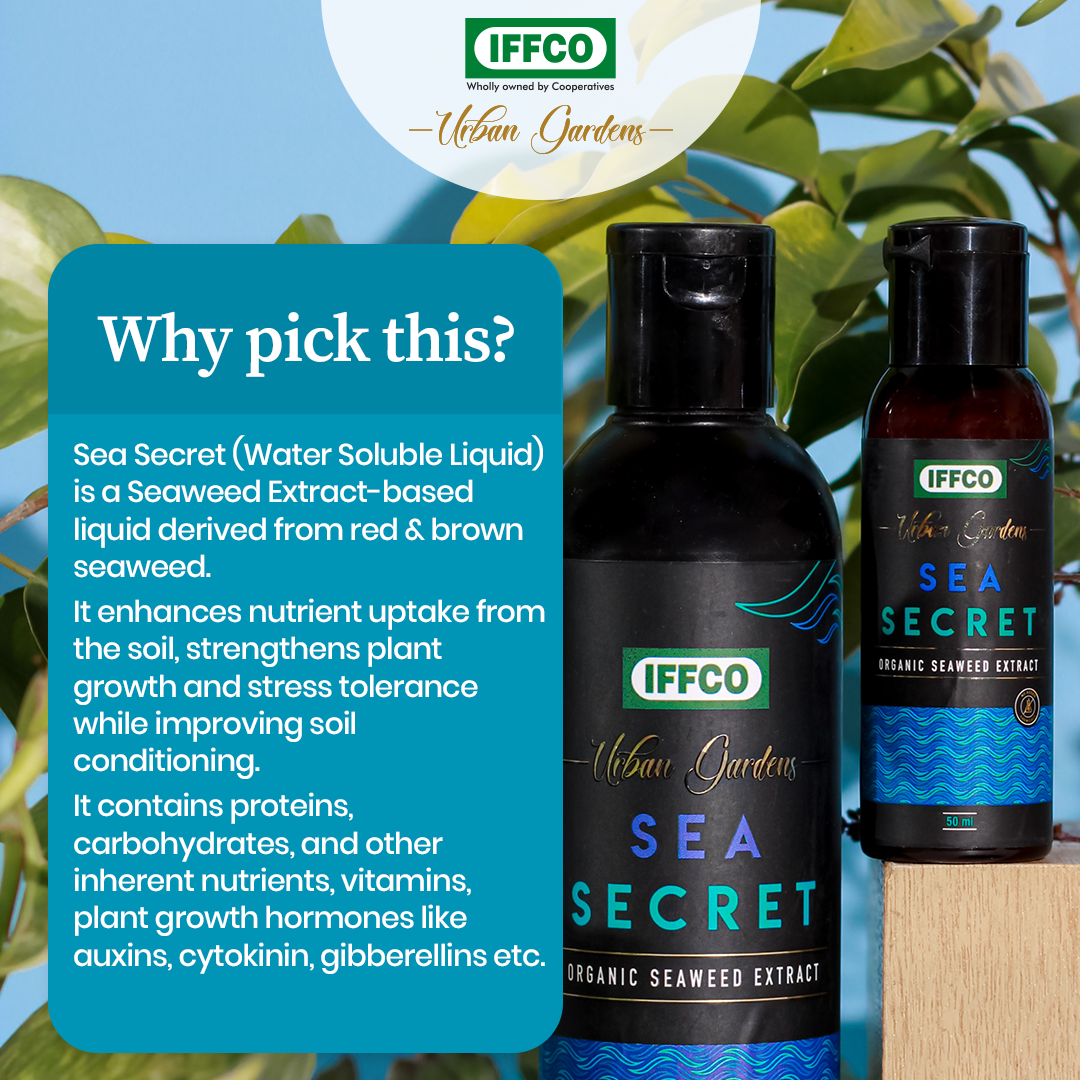 Sea Secret - Organic Seaweed Extract, Water Soluble Liquid