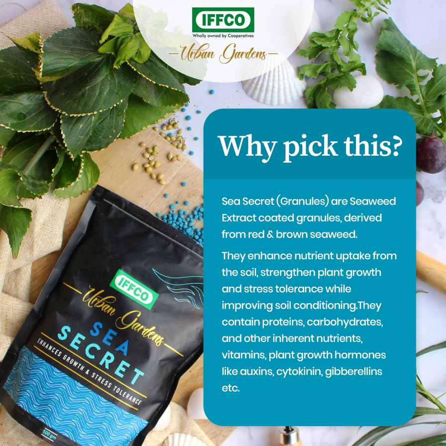 Sea Secret - Organic Seaweed Extract, Slow Release Granules