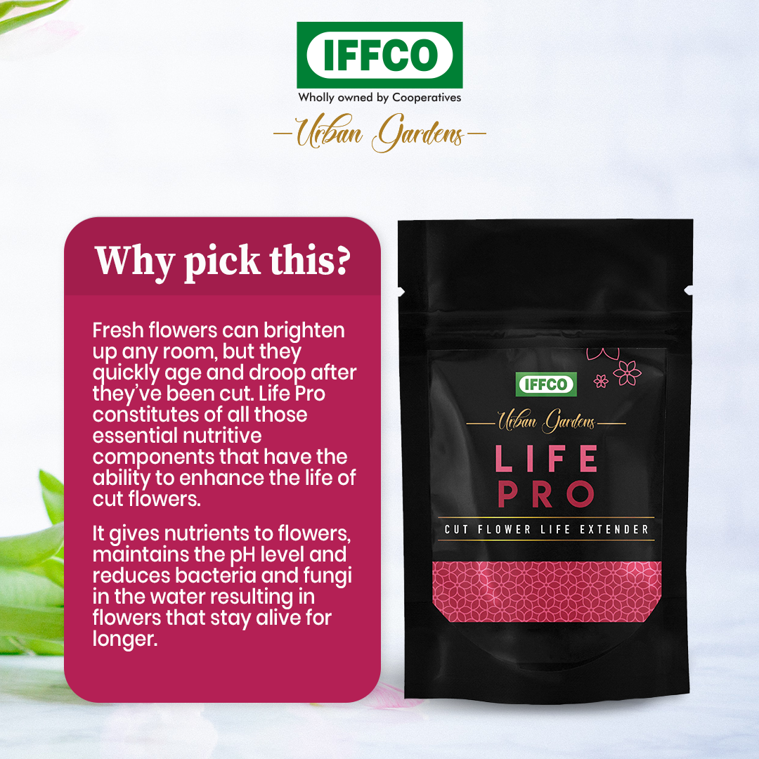 Life Pro – Cut Flower Food and Life Extender
