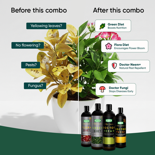 Nutrition & Protection Combo