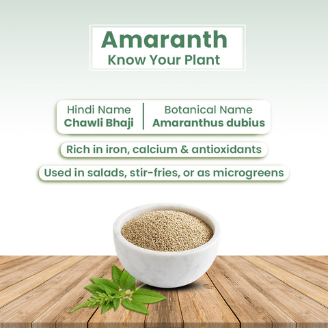 GIY - Amaranth Seeds
